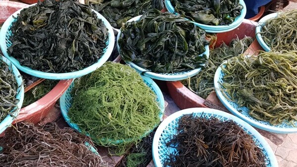 South Korea's Dried Seaweed Exports Surpass $1 Billion for First Time