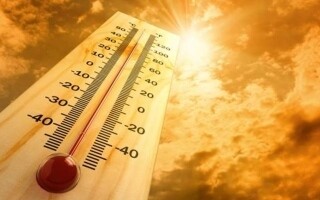 Сильная жара в Южной Корее привела к 14 смертям